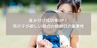 産み分け成功率UP！男の子が欲しい場合の排卵日の重要性