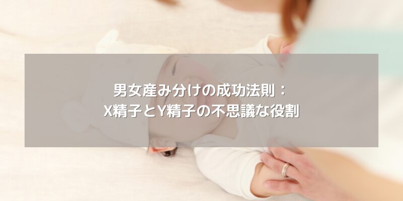 男女産み分けの成功法則：X精子とY精子の不思議な役割