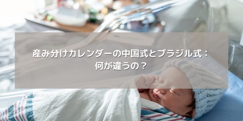 産み分けカレンダーの中国式とブラジル式：何が違うの？