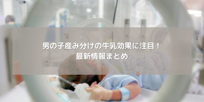 男の子産み分けの牛乳効果に注目！最新情報まとめ